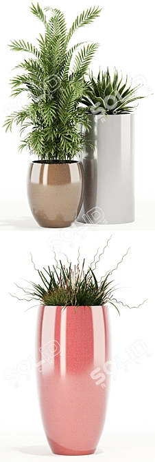 100 Awesomeplanters Collection 3D model image 2