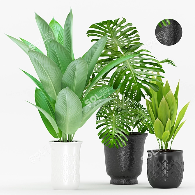 Tropical Greenery in Modern Pot 3D model image 1