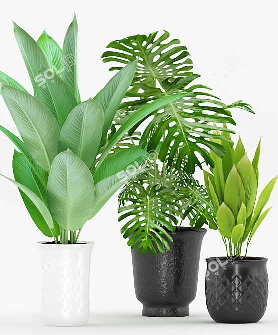 Tropical Greenery in Modern Pot 3D model image 2