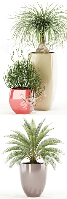 101 Awesomeplanters: Perfect Pots for Your Plants 3D model image 2