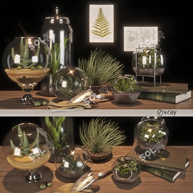 Florarium Set: Garden Decor 3D model image 1