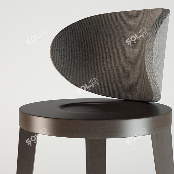 SIF Luna High Stool with Backrest 3D model image 3