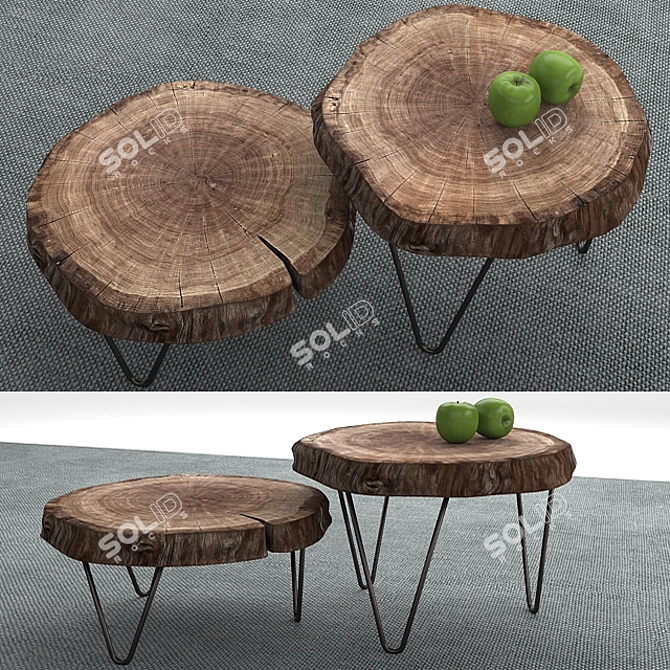 Natural Wood Slice Tables Set 3D model image 1