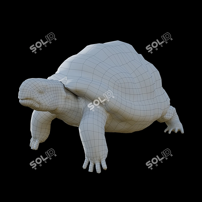 Bronze Turtle Figurine - Exquisite Artwork 3D model image 3