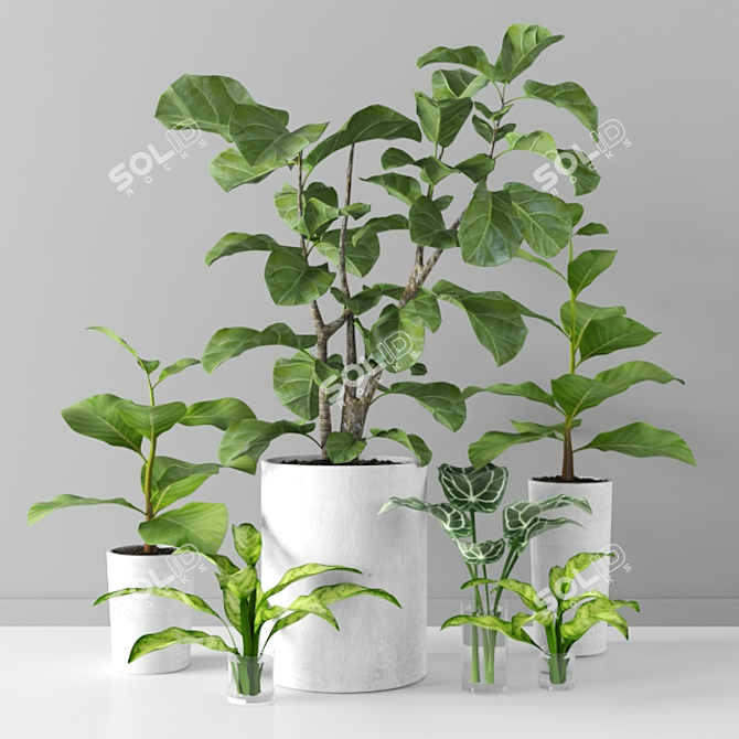 28 Varieties of Plants Tree Collection 3D model image 1