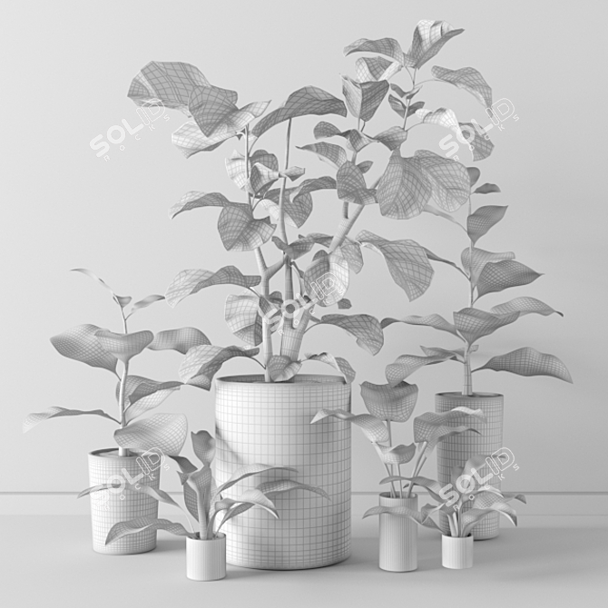 28 Varieties of Plants Tree Collection 3D model image 2