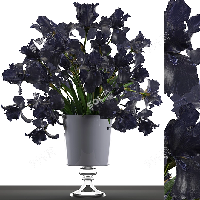 Midnight Blooms: Black Iris Collection 3D model image 1