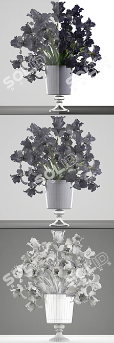 Midnight Blooms: Black Iris Collection 3D model image 3