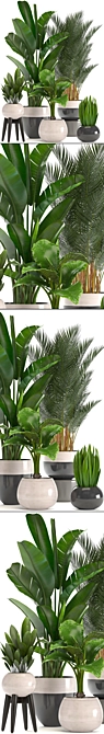 Tropical Plant Collection: Bananas, Palms, and More! 3D model image 2