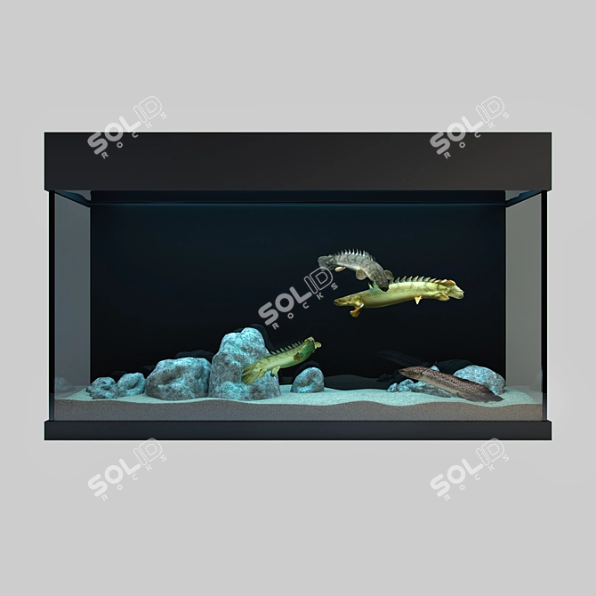 Predatory Fish & Aquarium Set 3D model image 1