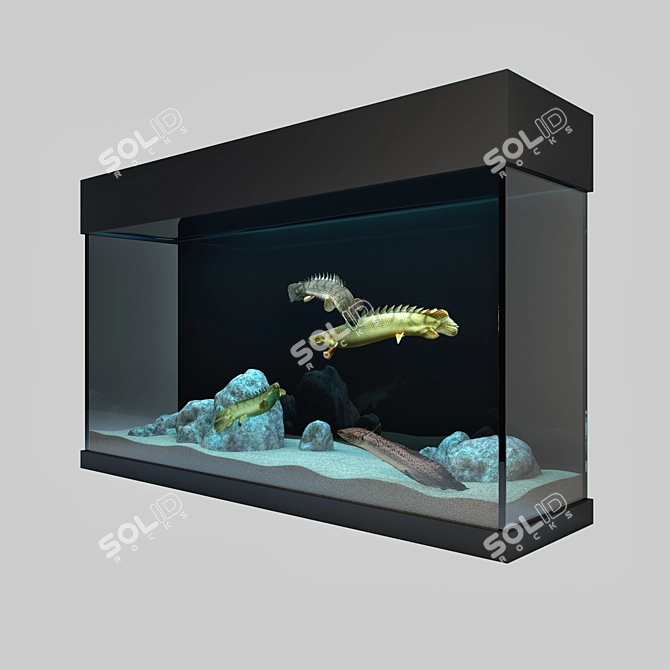 Predatory Fish & Aquarium Set 3D model image 2