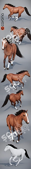 Gallop: Running Horse Model 3D model image 2