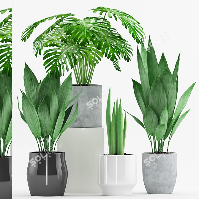 Modern Greenery Trio with Stylish Pot 3D model image 1