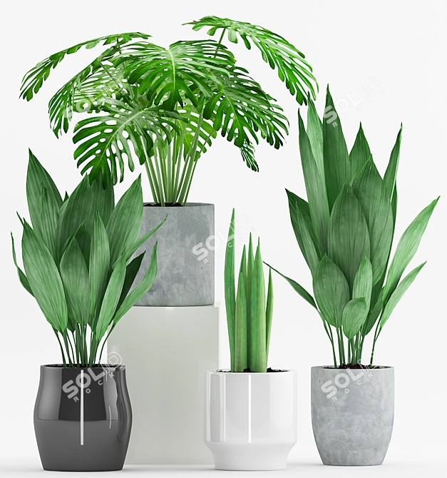 Modern Greenery Trio with Stylish Pot 3D model image 2