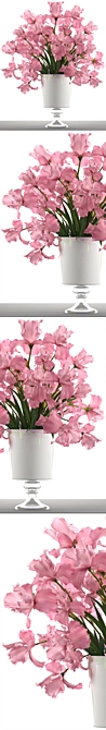 Pink Iris Bouquet: Elegant and Fragrant 3D model image 2