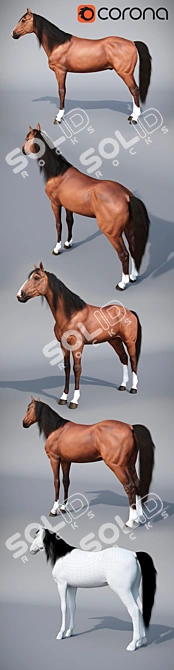 Elegant Standing Horse Sculpture 3D model image 2