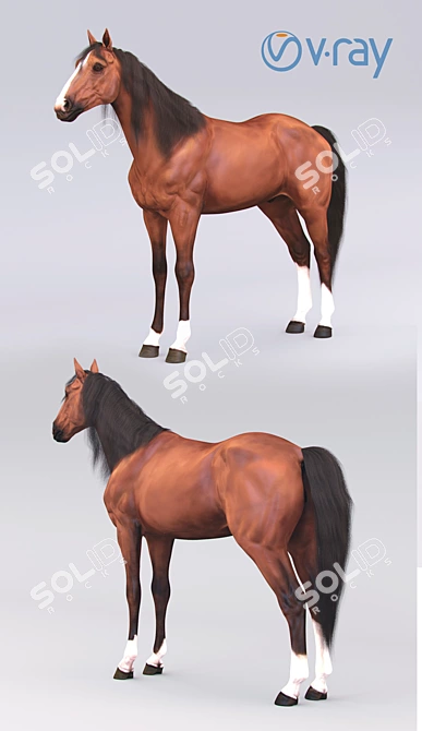 Elegant Standing Horse Sculpture 3D model image 3