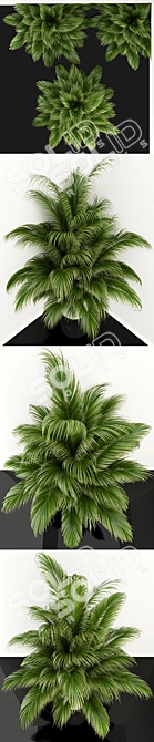 Assorted Plants Collection 107 3D model image 2