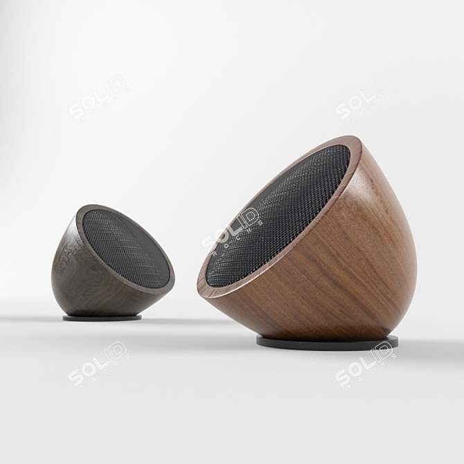 CARVED Wood Bluetooth Speaker 3D model image 1