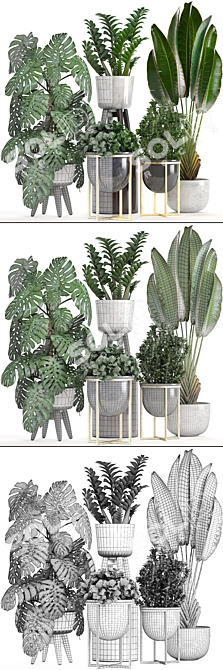 Tropical Plant Collection: Monstera, Ravenala, Caladium 3D model image 3
