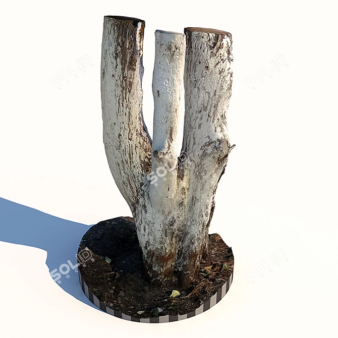 Natural Tree Trunk Sculpture 3D model image 1