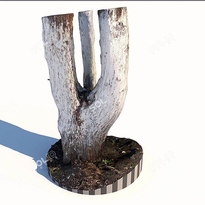 Natural Tree Trunk Sculpture 3D model image 2