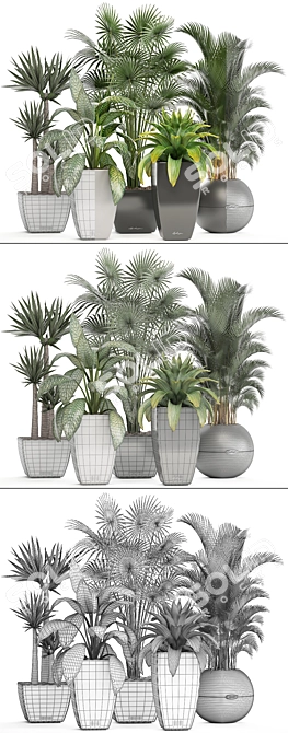 Gorgeous Indoor Plant Collection 3D model image 3