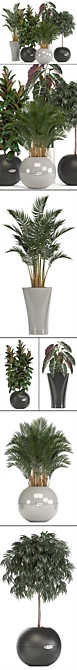 Indoor Collection of Plant Varieties 3D model image 2