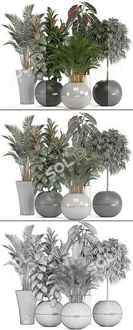 Indoor Collection of Plant Varieties 3D model image 3