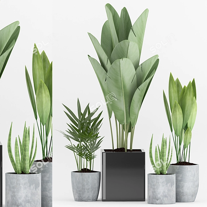 Tropical Greenery Collection: Aspidistra, Sansevieria & More 3D model image 1