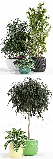 111 Unique Plants Collection 3D model image 2