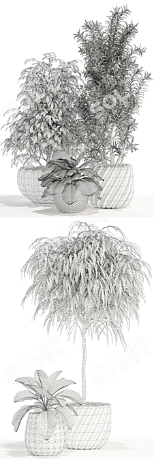 111 Unique Plants Collection 3D model image 3