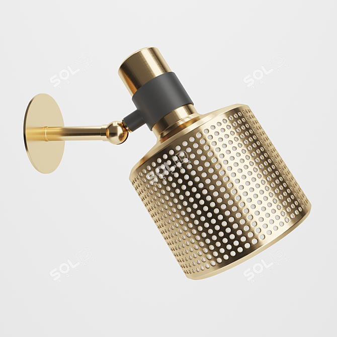 Bert Frank Riddle Brass Wall Light 3D model image 1