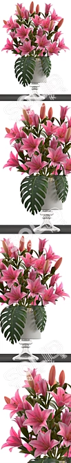 Title (English): Elegant Lily Collection 3D model image 2