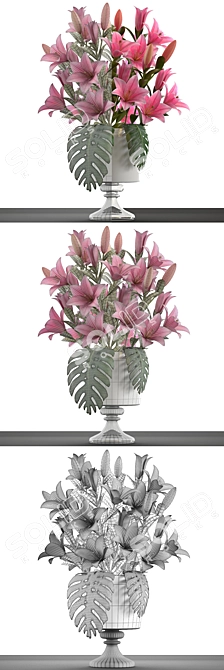 Title (English): Elegant Lily Collection 3D model image 3