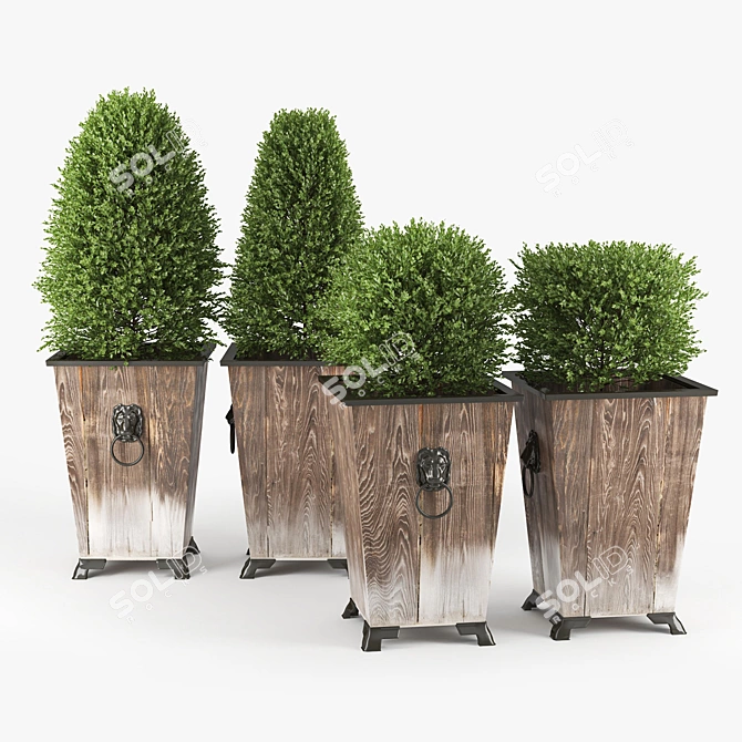 Elegant Boxwood Topiary - Perfect for Any Space 3D model image 1