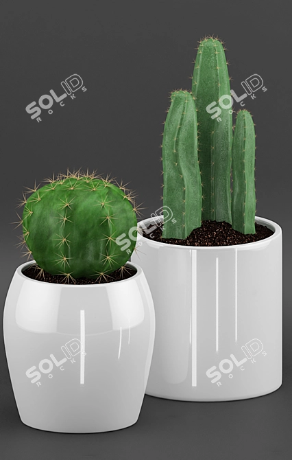 Elegant Cactus & Succulent Set 3D model image 2