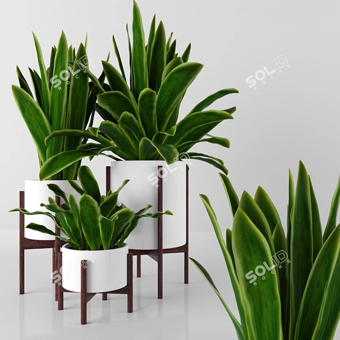 3D Plants Pack - High-Quality Models 3D model image 1