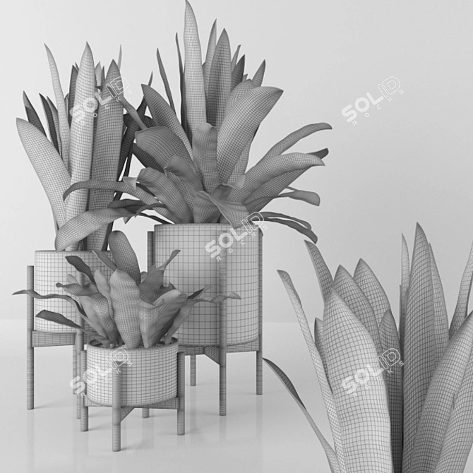 3D Plants Pack - High-Quality Models 3D model image 2