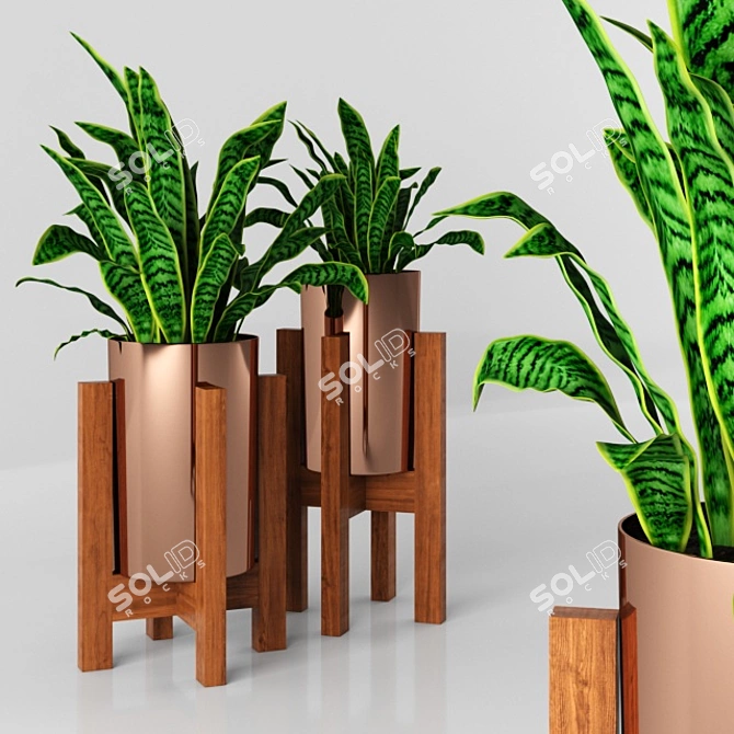 3D Plants Tree Model Collection 3D model image 1