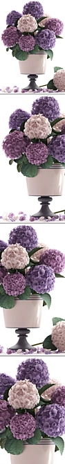 Hydrangea Dream Bouquet 3D model image 2