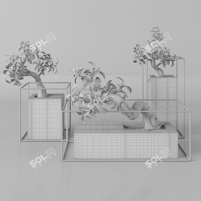 33 Bonsai Plants Tree 3D model image 2