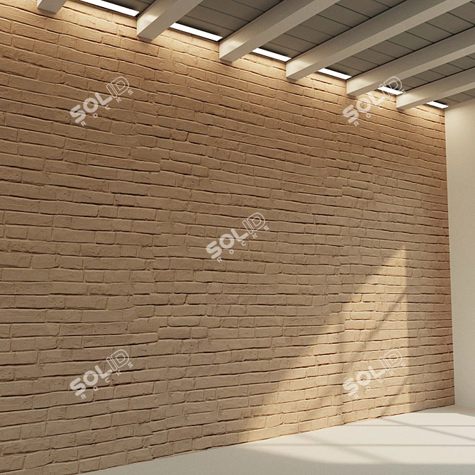 Title: Weathered Clay Brick Wall 3D model image 3