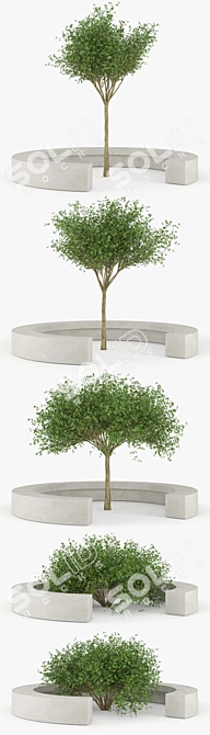 Vora Arquitectura Tree Bench: Combining Natural Beauty 3D model image 2