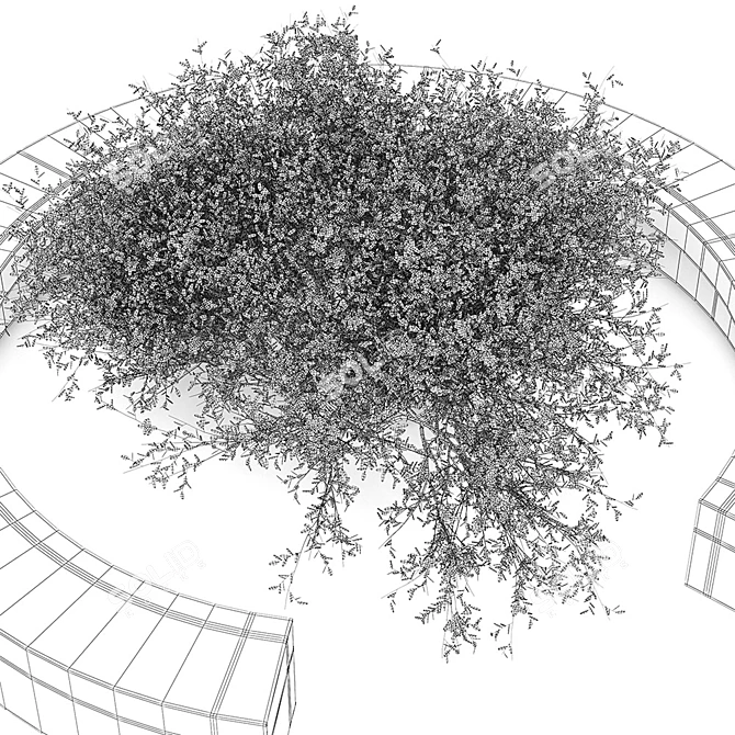 Vora Arquitectura Tree Bench: Combining Natural Beauty 3D model image 3