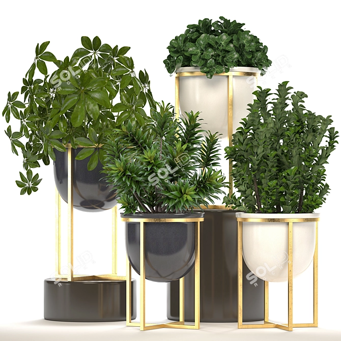 Luxury Interior Plant Collection 3D model image 1