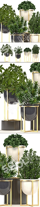 Luxury Interior Plant Collection 3D model image 2