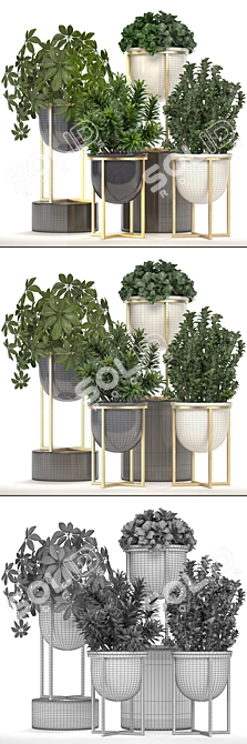 Luxury Interior Plant Collection 3D model image 3