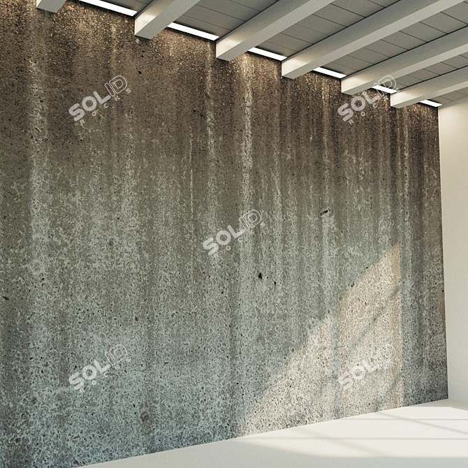 Seamless Concrete Wall Texture 3D model image 2