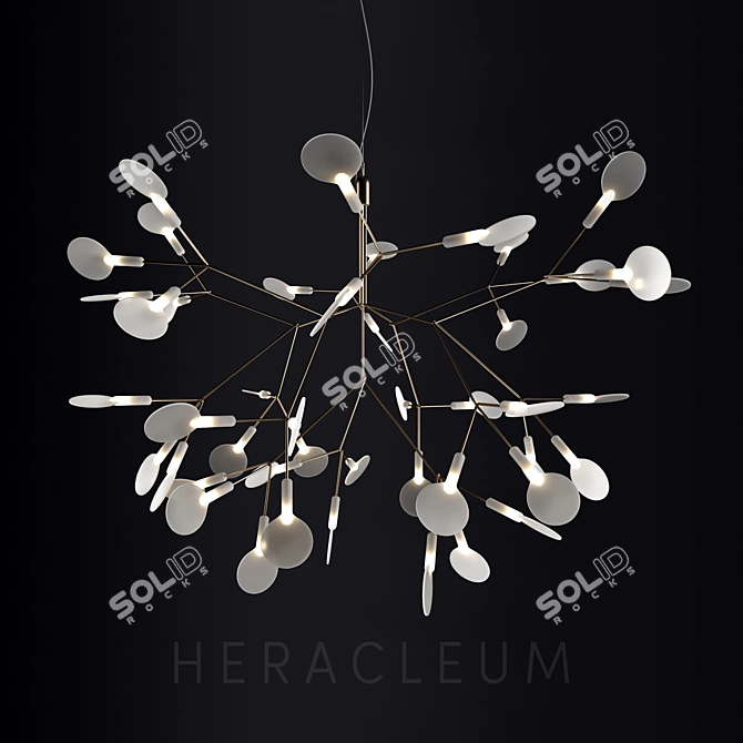 Elegant Heracleum II Small Chandelier 3D model image 1